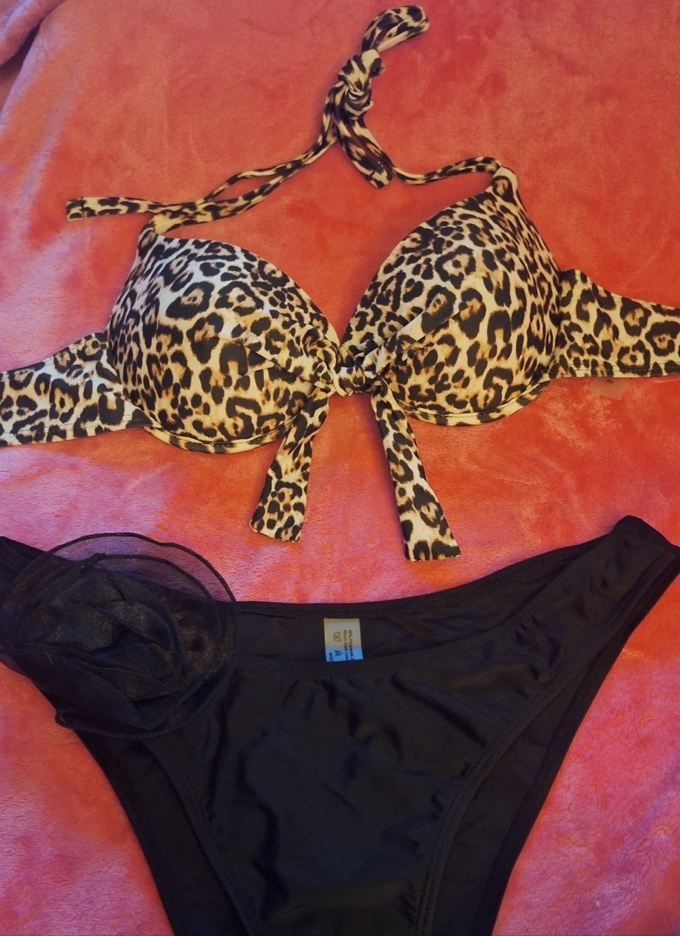 Leopard Print Push-Up Bikini Top with Black Bikini Bottom